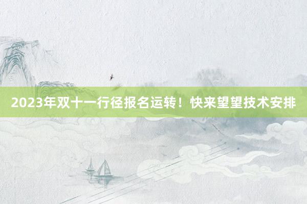 2023年双十一行径报名运转!快来望望技术安排